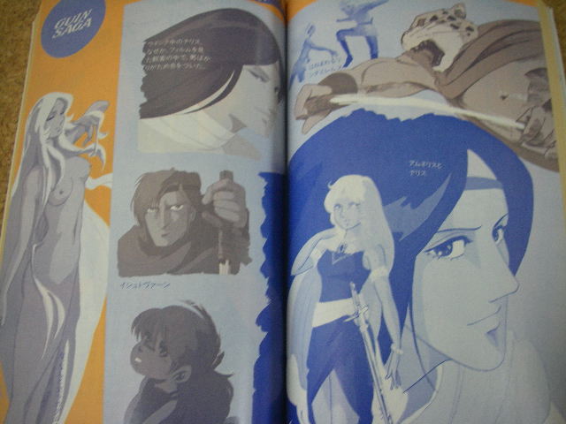 �O�C���@�T�[�K�A�j��