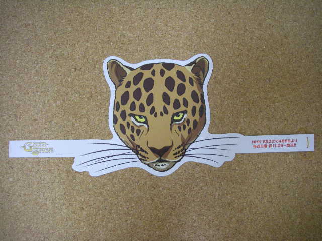 �O�C���@�T�[�K�A�j������