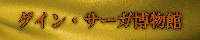 �O�C���@�T�[�K������